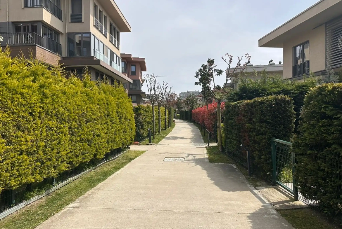 Yeşil ağaçlarla çevrili yürüyüş yolu