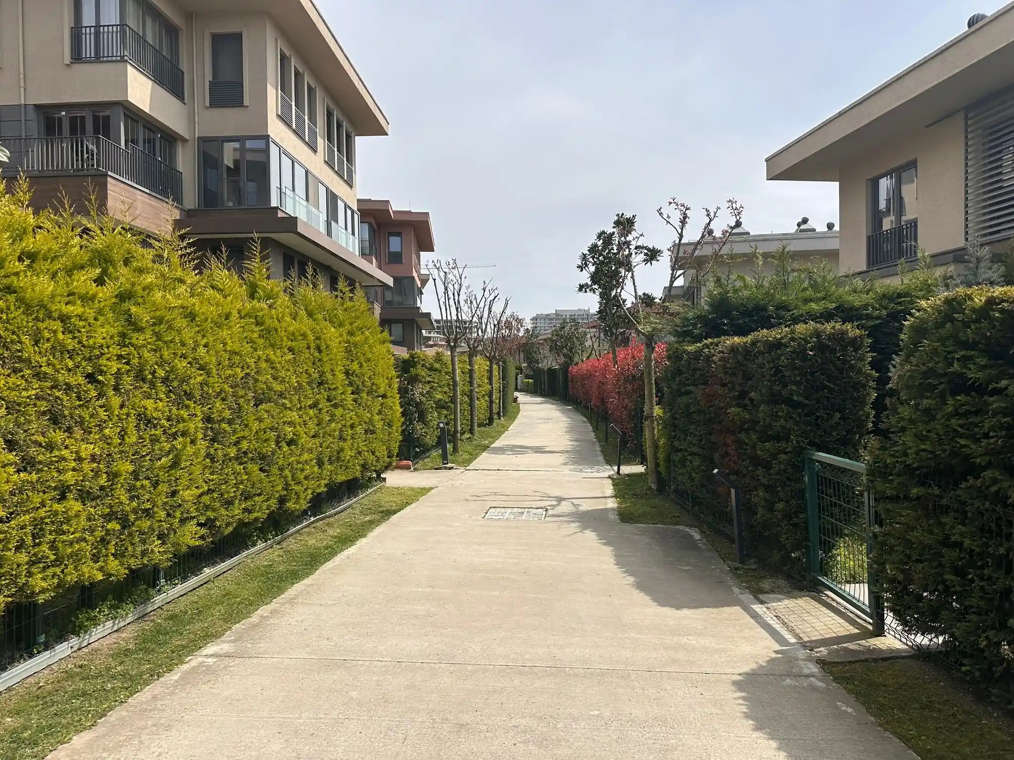 Yeşil ağaçlarla çevrili yürüyüş yolu